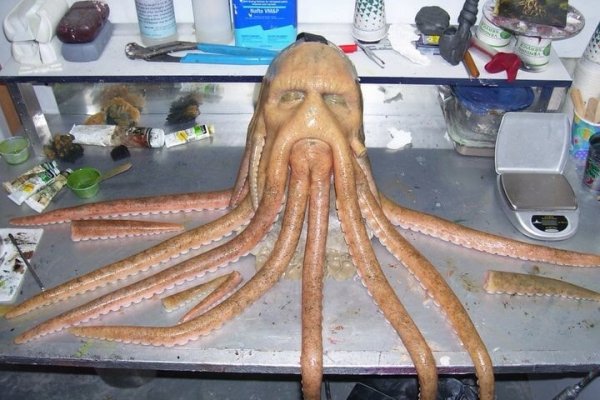 Kraken даркнет рынок